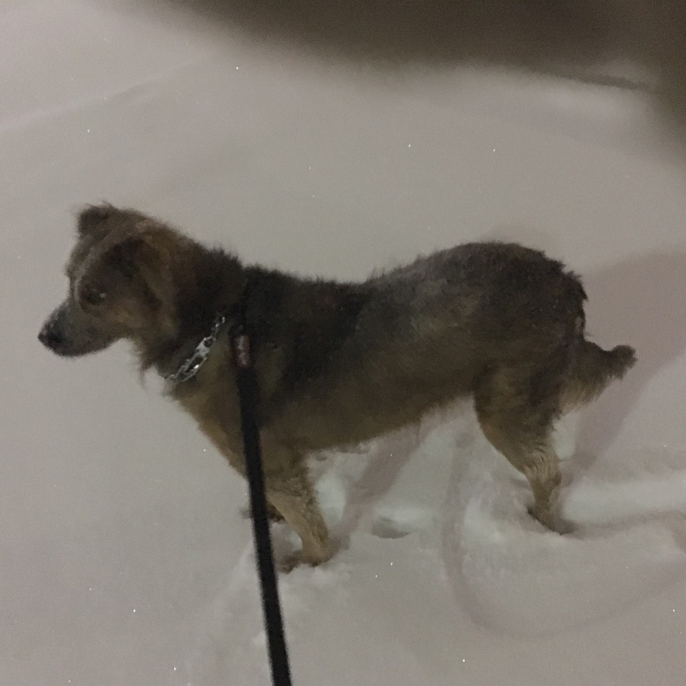 Meet your Posher, Gina